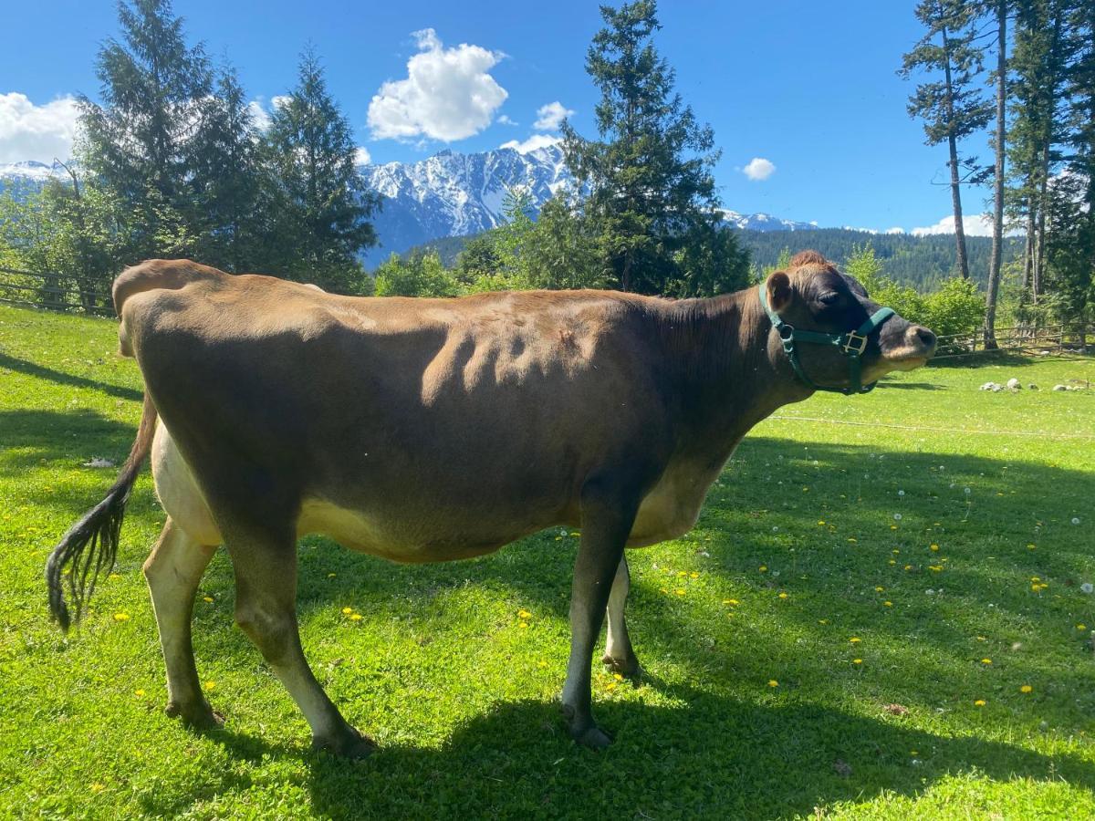 Sweetwater Lane Farm Villa Mount Currie Dış mekan fotoğraf