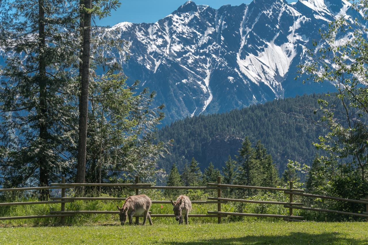 Sweetwater Lane Farm Villa Mount Currie Dış mekan fotoğraf
