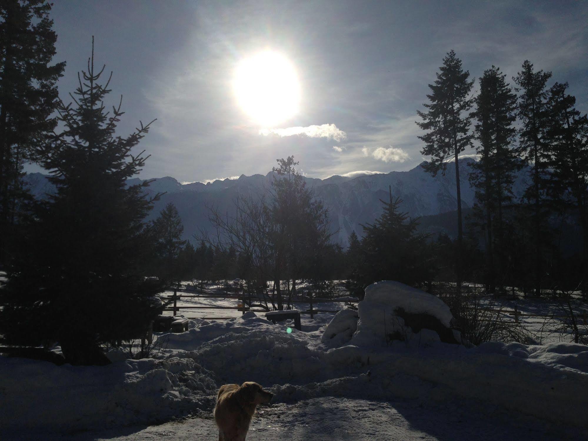 Sweetwater Lane Farm Villa Mount Currie Dış mekan fotoğraf